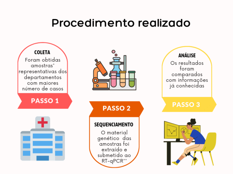 Uma breve história da chikungunya no Paraguai