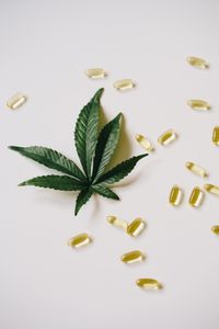 Pesquisa da UNILA investiga uso de substâncias da Cannabis para tratamento de pacientes com Alzheimer